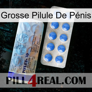 Grosse Pilule De Pénis 39